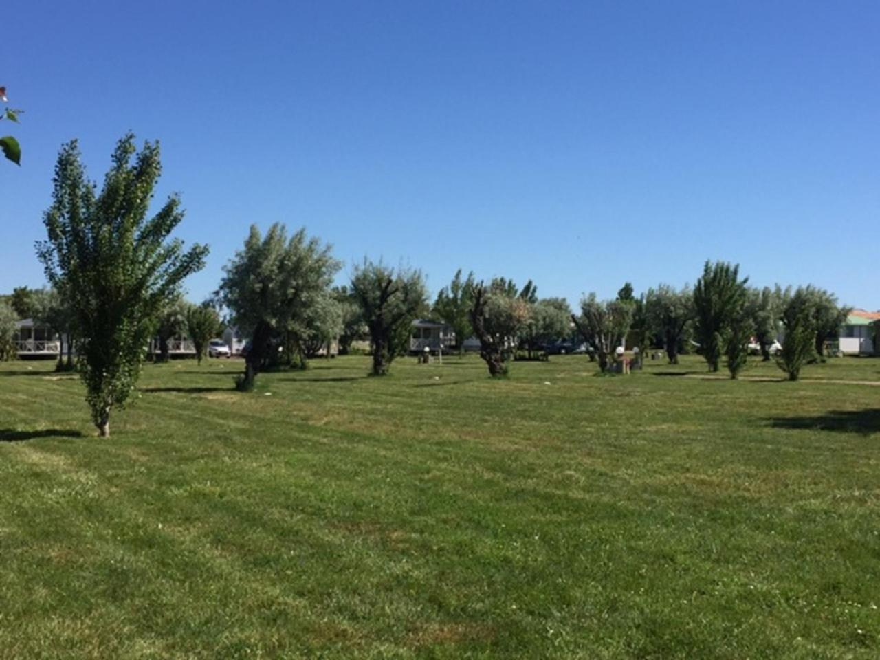 Camping Phare Ouest Saint-Denis-d'Oleron Ngoại thất bức ảnh